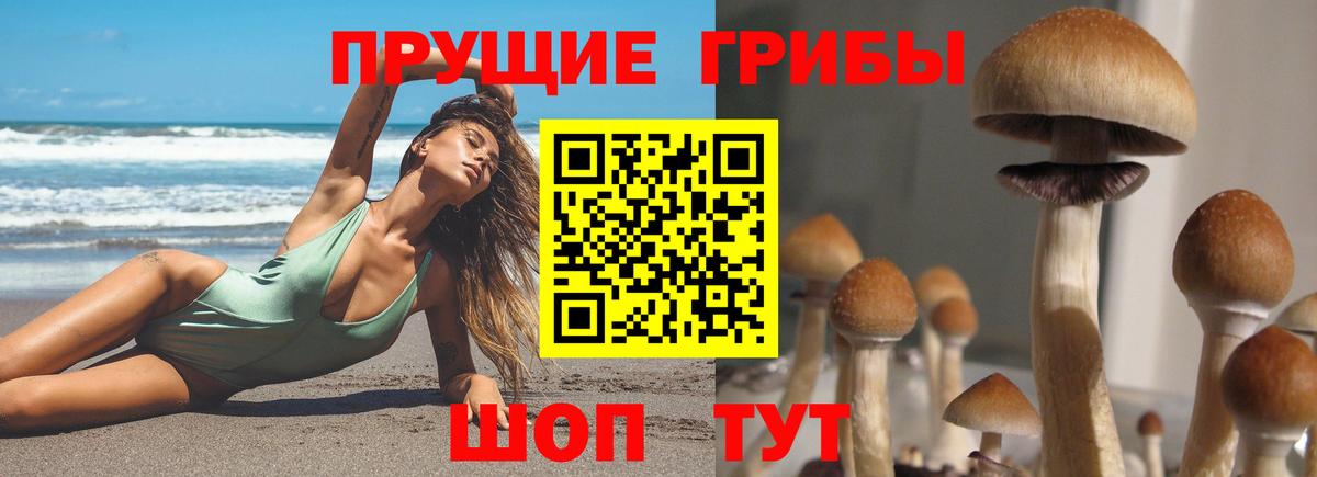 Новодвинск  Галлюциногенные грибы Magic Shrooms  Вход с VPN 