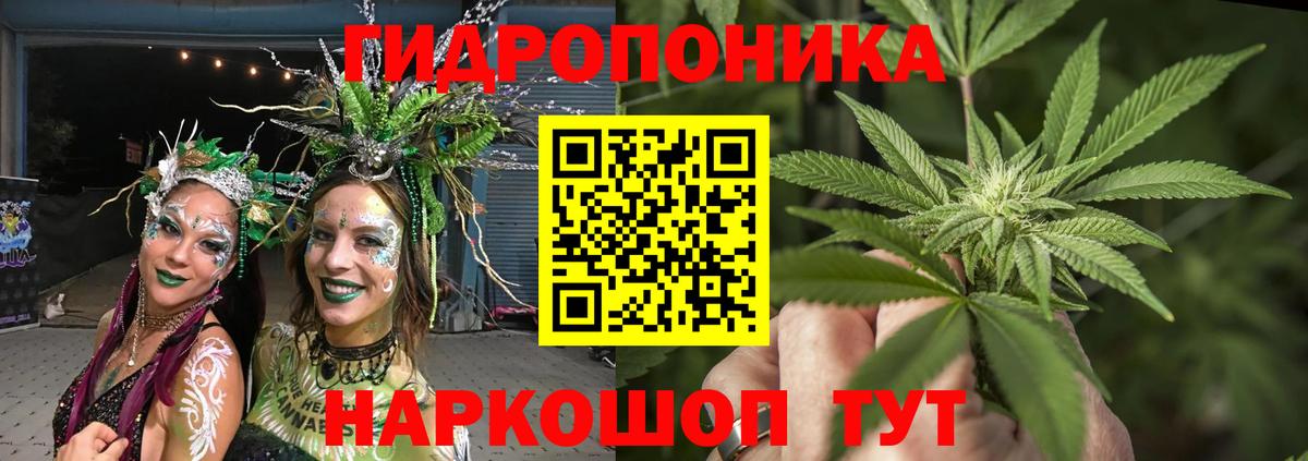 Новодвинск  Конопля сатива  Вход с VPN  Конопля THC 21%  Бошки Шишки Ganja 